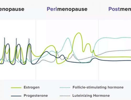 The Role of Exercise Throughout Menopausal Transition